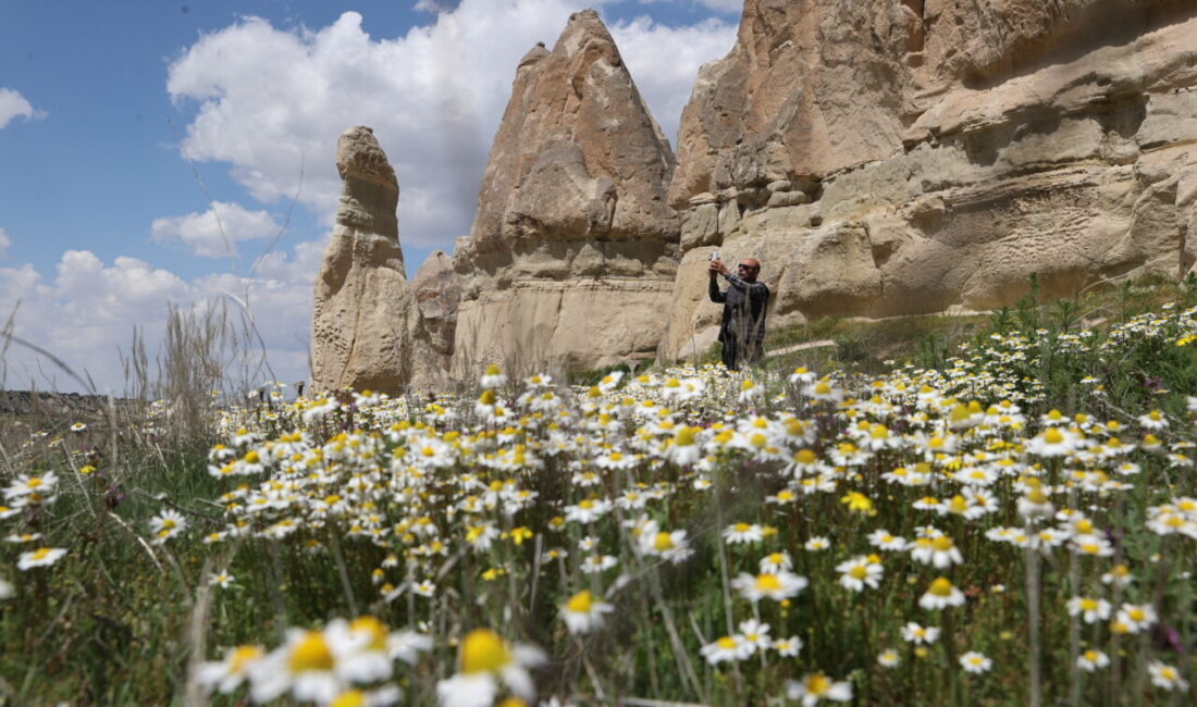 NEVŞEHİR (AA) – Kapadokya’da baharın gelişiyle peribacaları rengarenk çiçeklerle buluştu.
