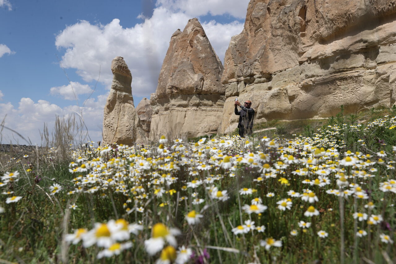 NEVŞEHİR (AA) – Kapadokya’da baharın gelişiyle peribacaları rengarenk çiçeklerle buluştu.