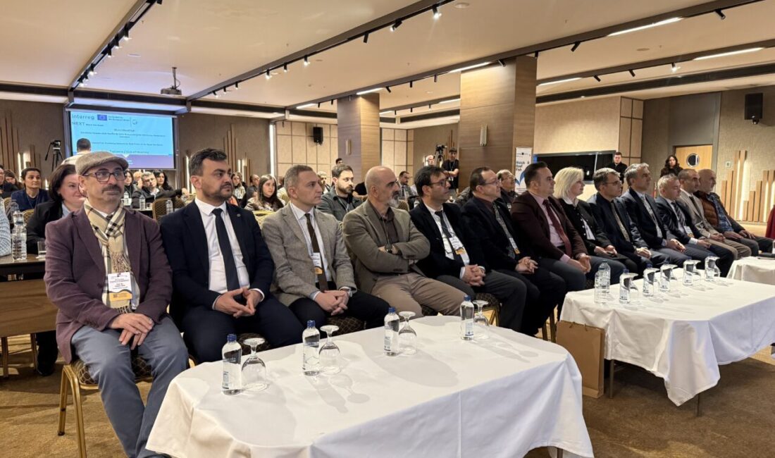 - Projeyle, su altı gözlemi, yemli görüntü işleme ve çevresel