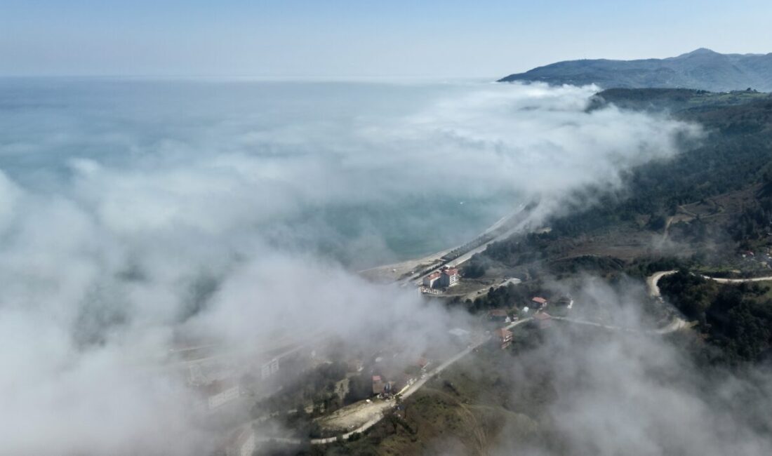 SİNOP (AA) – Sinop'ta Karadeniz sahil yolu üzerinde oluşan sis