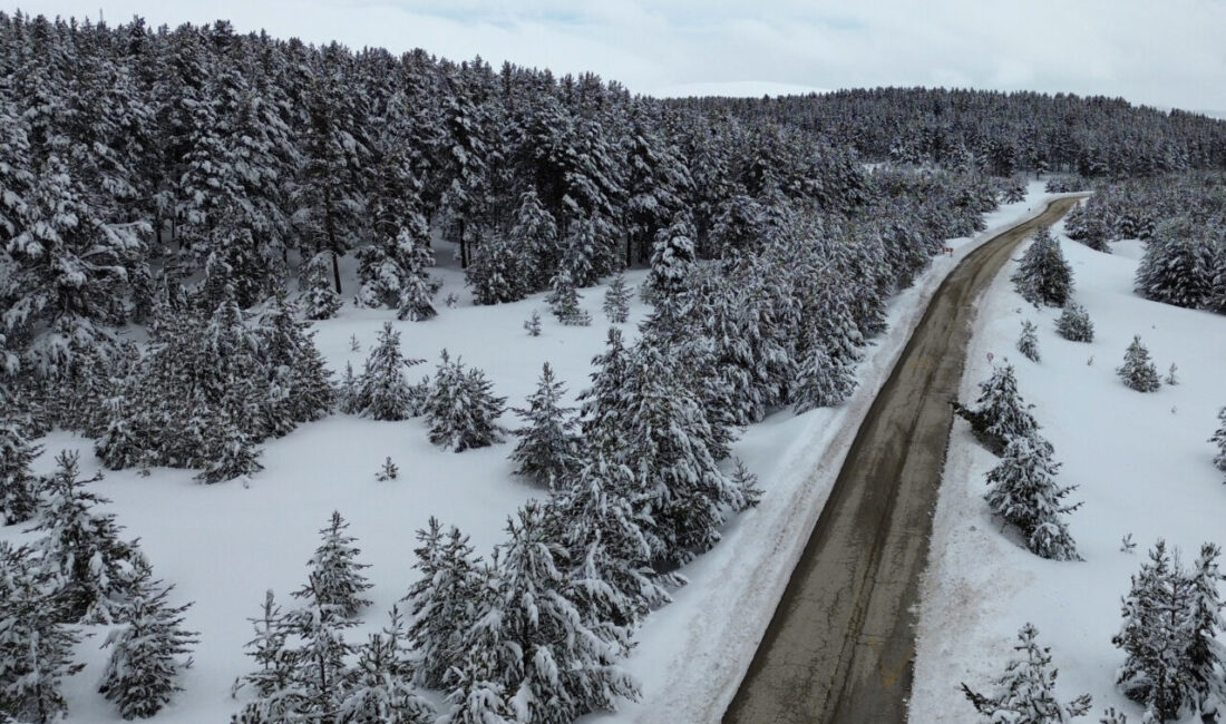 KARS (AA) – Kars'ın Sarıkamış ilçesinde kar yağışıyla beyaza bürünen