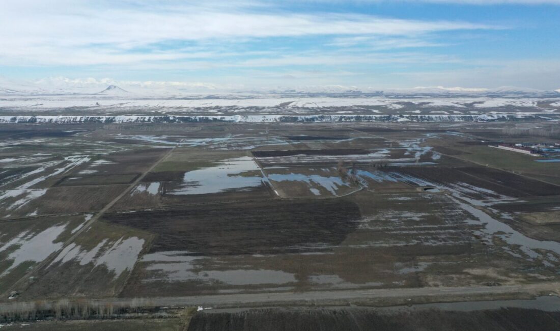 AĞRI (AA) – Karların erimeye başladığı Ağrı Ovası ve çevredeki