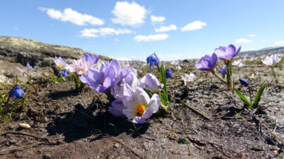 KARS (AA) – Türkiye'nin en yüksek yerleşim yerlerinden, kışın uzun