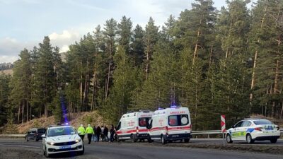 KARS (AA) – Kars'ta bariyerlere çarparak ters dönen araçtaki 3
