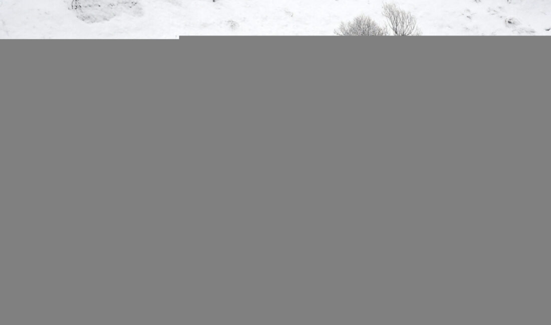 KARS (AA) – Kars'ın Sarıkamış ilçesinde sağanak yerini kar yağışına