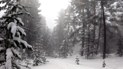 KARS (AA) – Kars'ın Sarıkamış ilçesinde sis etkili oldu. İlçede,