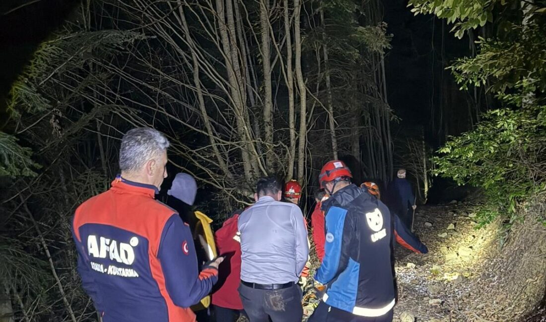 KASTAMONU (AA) – Kastamonu'nun Küre ilçesinde dağlık alanda gezdiği sırada