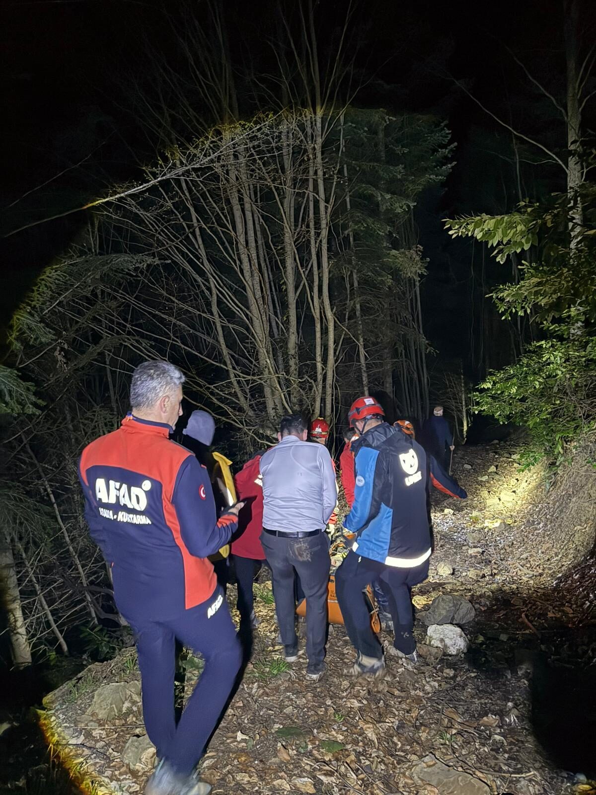 KASTAMONU (AA) – Kastamonu'nun Küre ilçesinde dağlık alanda gezdiği sırada