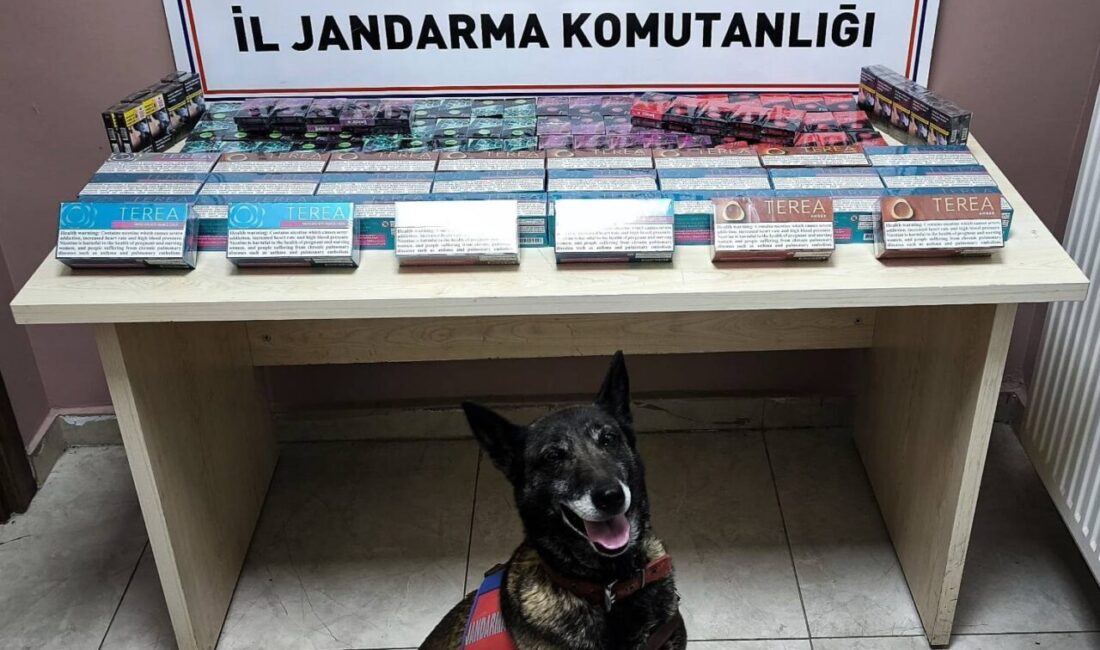 KAYSERİ (AA) – Kayseri'de iki tırda yapılan aramada, 158 paket