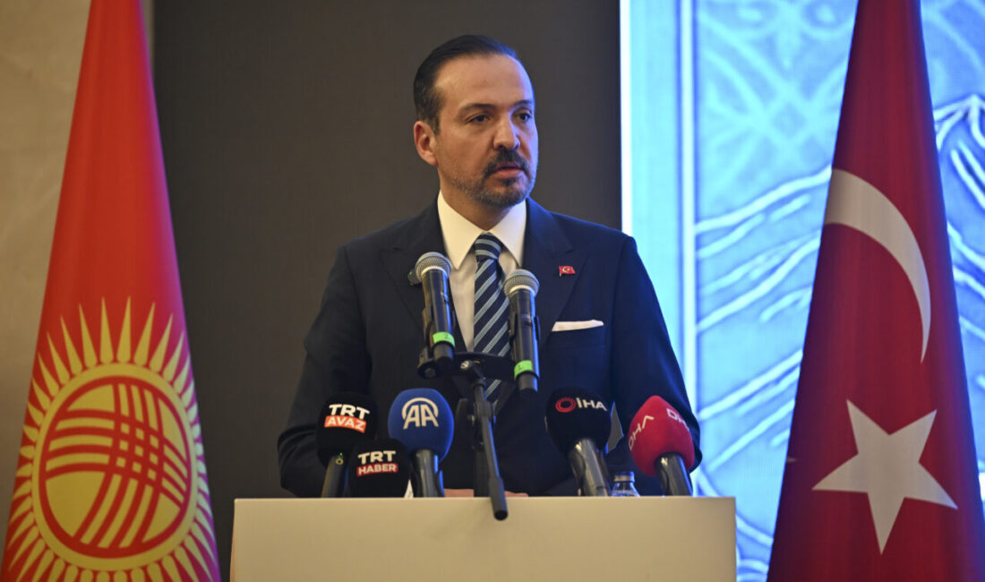 - AK Parti Genel Başkan Yardımcısı, Türk Devletleri ile İlişkiler