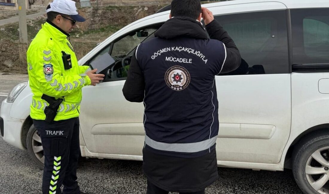 KIRŞEHİR (AA) – Kırşehir'de yapılan denetimlerde, yasa dışı yollardan yurda