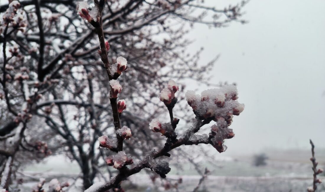 MALATYA (AA) – Malatya'da ilkbaharda kar etkili oluyor. Kent merkezinde