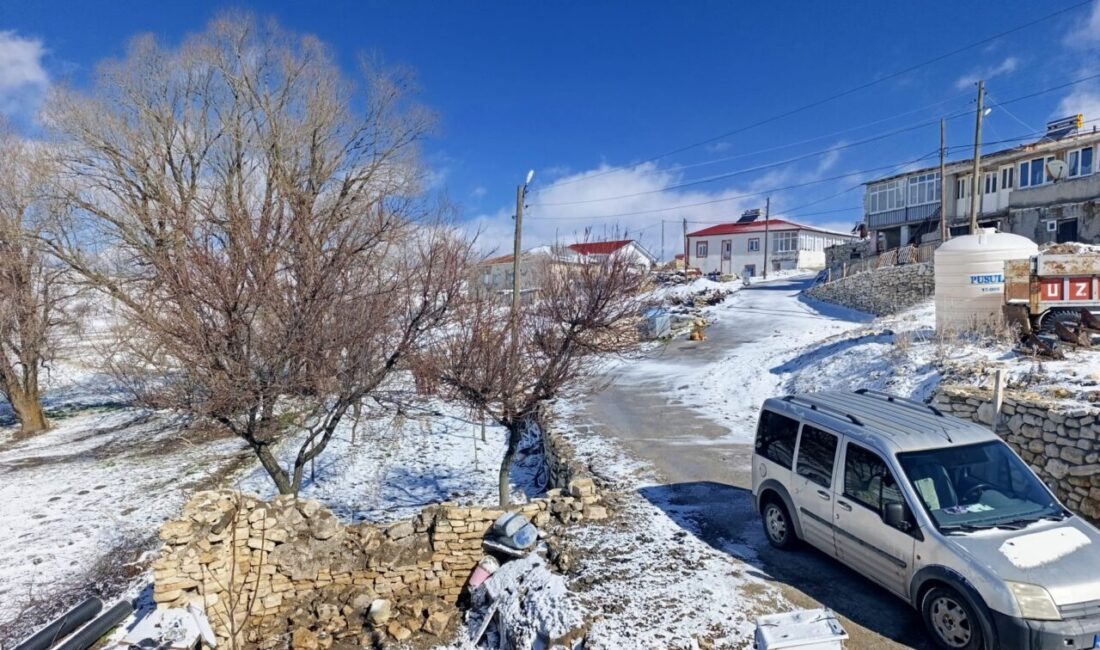 MALATYA (AA) – Malatya'nın Hekimhan ilçesinde kar etkili oldu. İlçenin