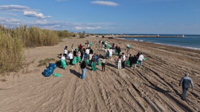 ANTALYA (AA) – Antalya'nın Manavgat ilçesinde caretta carettaların üreme alanlarını