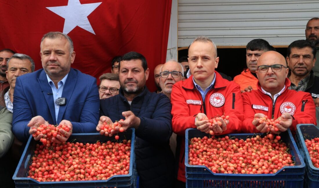 MANİSA (AA) – Türkiye'nin erkenci kiraz üretim merkezlerinden Manisa'nın Şehzadeler