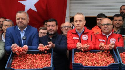 MANİSA (AA) – Türkiye'nin erkenci kiraz üretim merkezlerinden Manisa'nın Şehzadeler