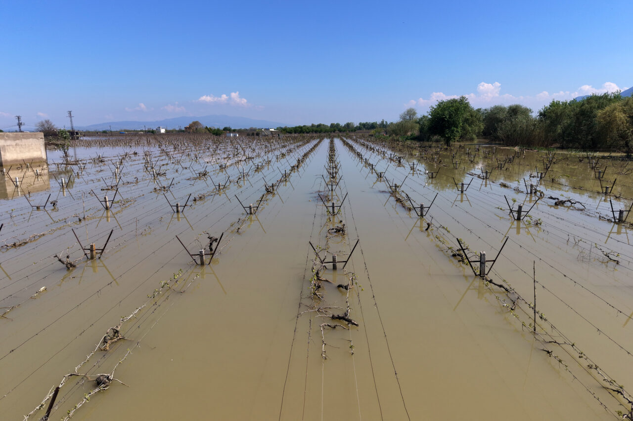 - Salihli Ziraat Odası Başkanı Cem Yalvaç:
- "Normalde mart ayına