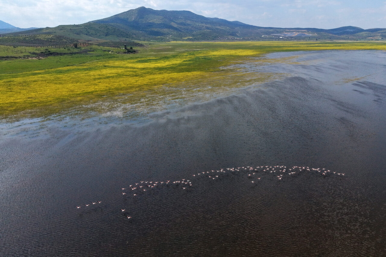 MANİSA (AA) – Manisa'da 2021'de tamamen kuruyan, bu yıl yağışlarla