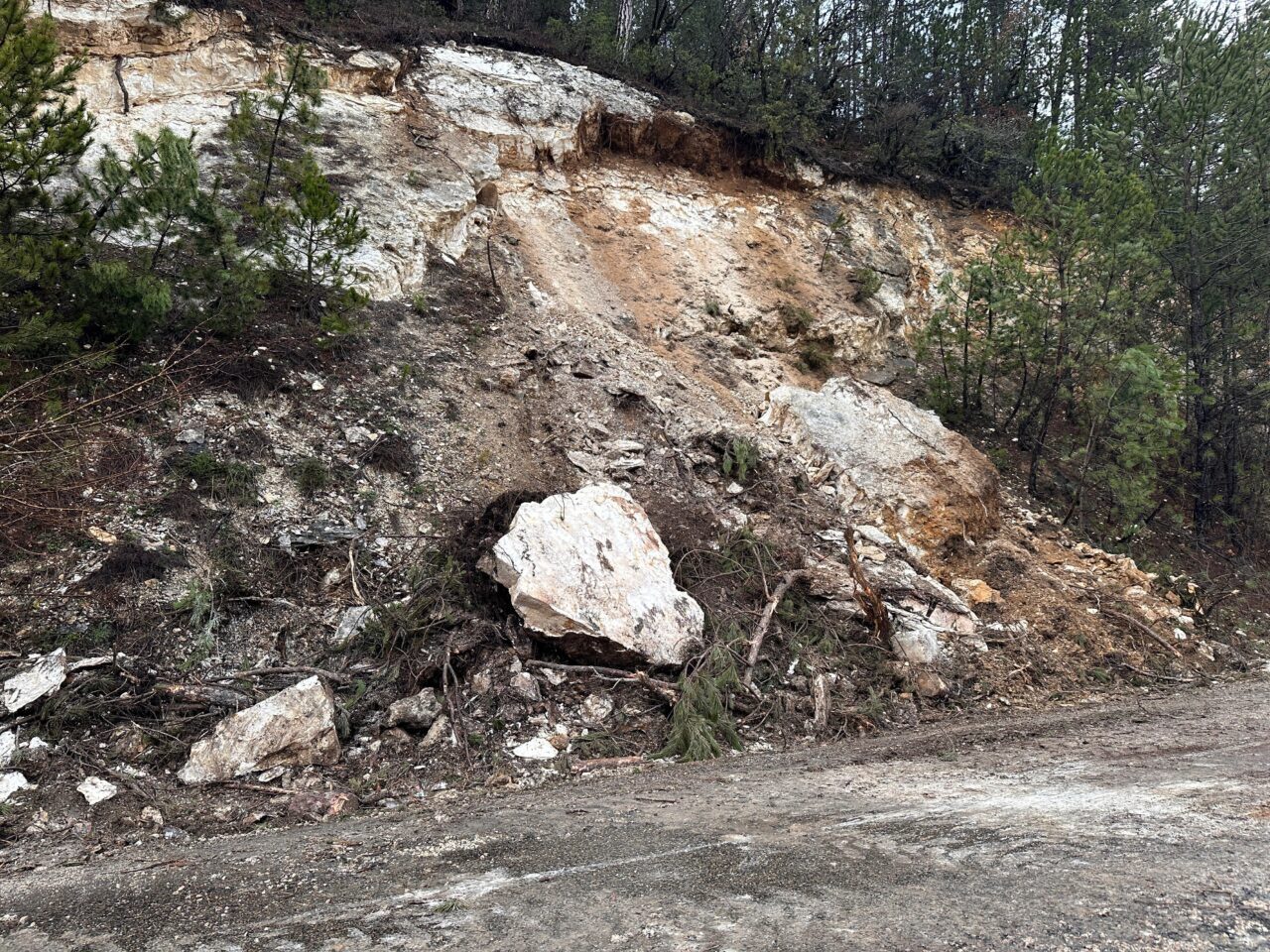 BOLU (AA) – Bolu'nun Mengen ilçesinde sağanak nedeniyle heyelan meydana