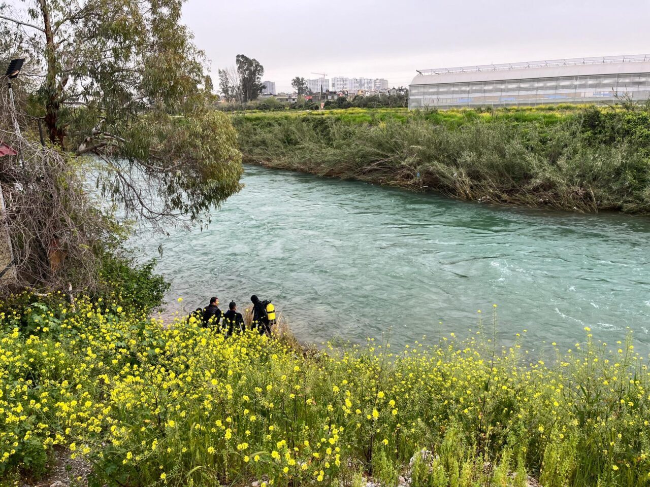 MERSİN (AA) – Mersin'in Tarsus ilçesinde şelaleye girdikten sonra kaybolan