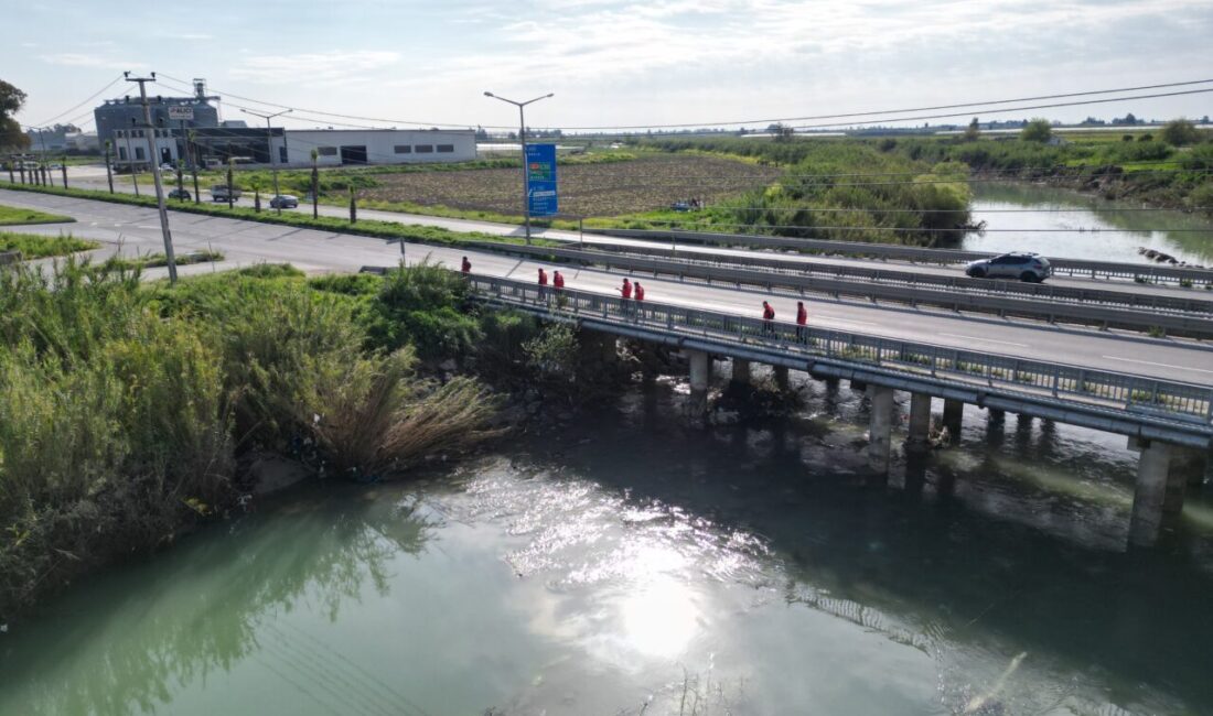 MERSİN (AA) – Mersin'in Tarsus ilçesinde şelaleye girdikten sonra kaybolan