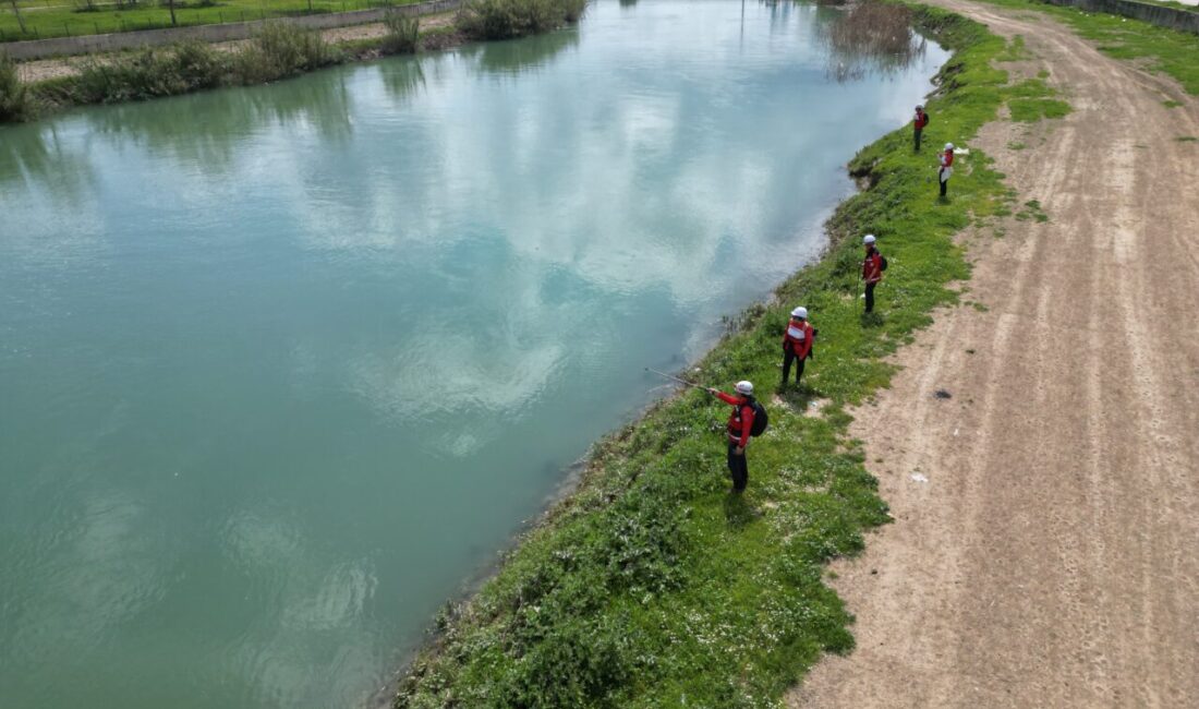 MERSİN (AA) – Mersin'in Tarsus ilçesinde şelaleye girdikten sonra kaybolan