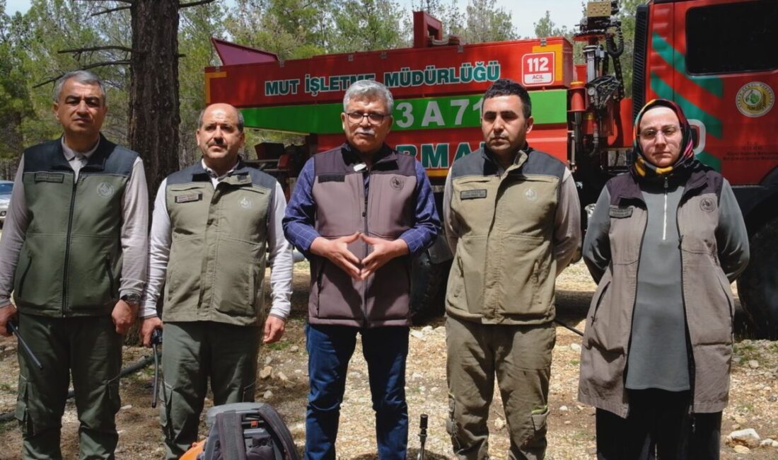 MERSİN (AA) – Mersin'in Mut ilçesindeki ormanlık alanda yaz sezonu