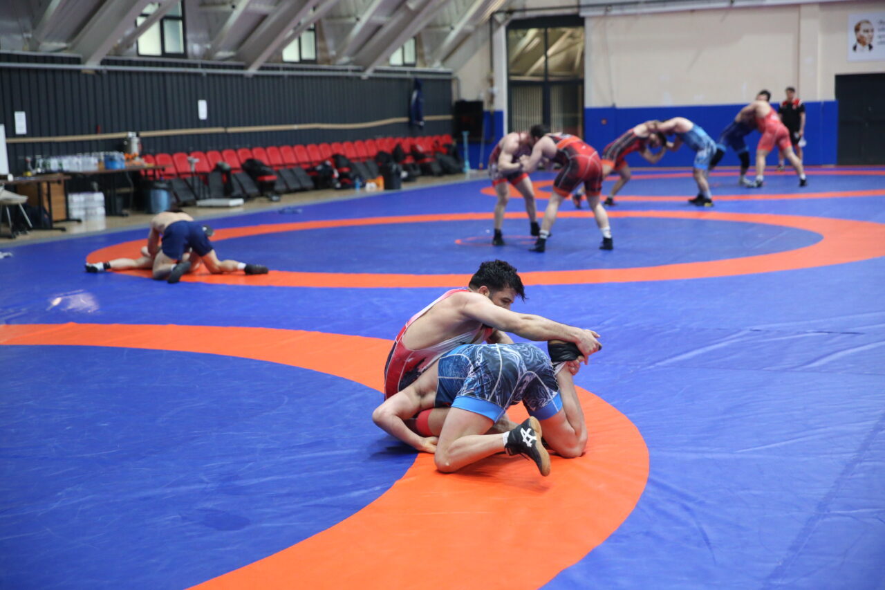 KASTAMONU (AA) – Avrupa ve dünya şampiyonalarına hazırlanan Serbest Güreş