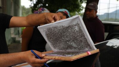 MUĞLA (AA). – Muğla’da kırsal kalkınmayı destekleyen alternatif üretim modellerinden