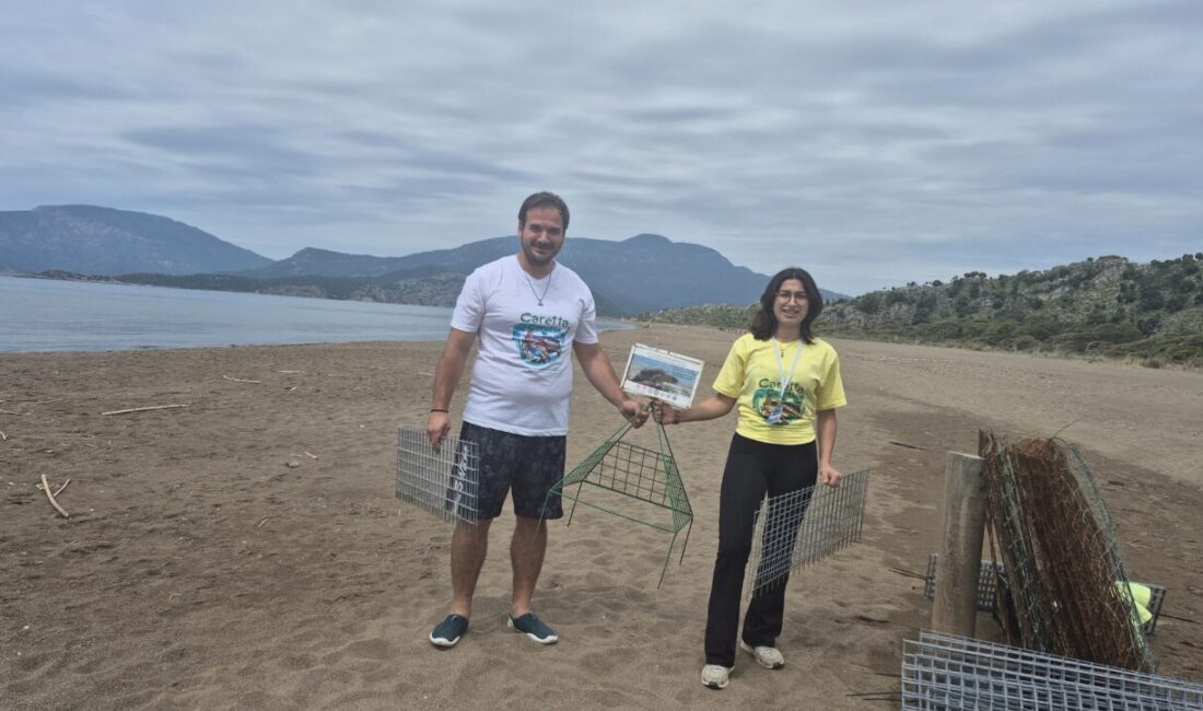 MUĞLA (AA) – Muğla'nın Ortaca ilçesindeki İztuzu Sahili'nde nesli tükenme