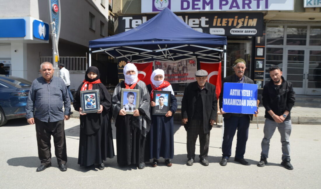 MUŞ (AA) – Muş'ta çocukları terör örgütü PKK tarafından kaçırılan