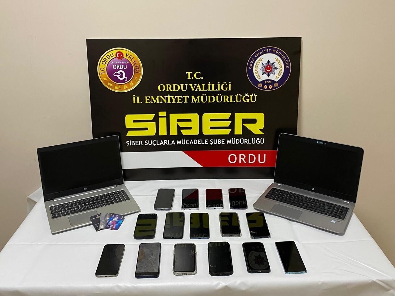 ORDU (AA) – Ordu merkezli 17 ilde düzenlenen dolandırıcılık operasyonunda