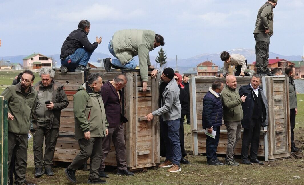 ORDU (AA) – Ordu'nun Mesudiye ilçesinde doğal hayatın korunması amacıyla