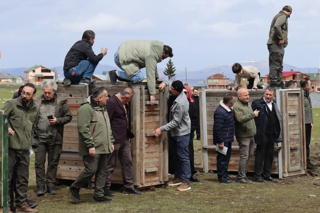 ORDU (AA) – Ordu'nun Mesudiye ilçesinde doğal hayatın korunması amacıyla