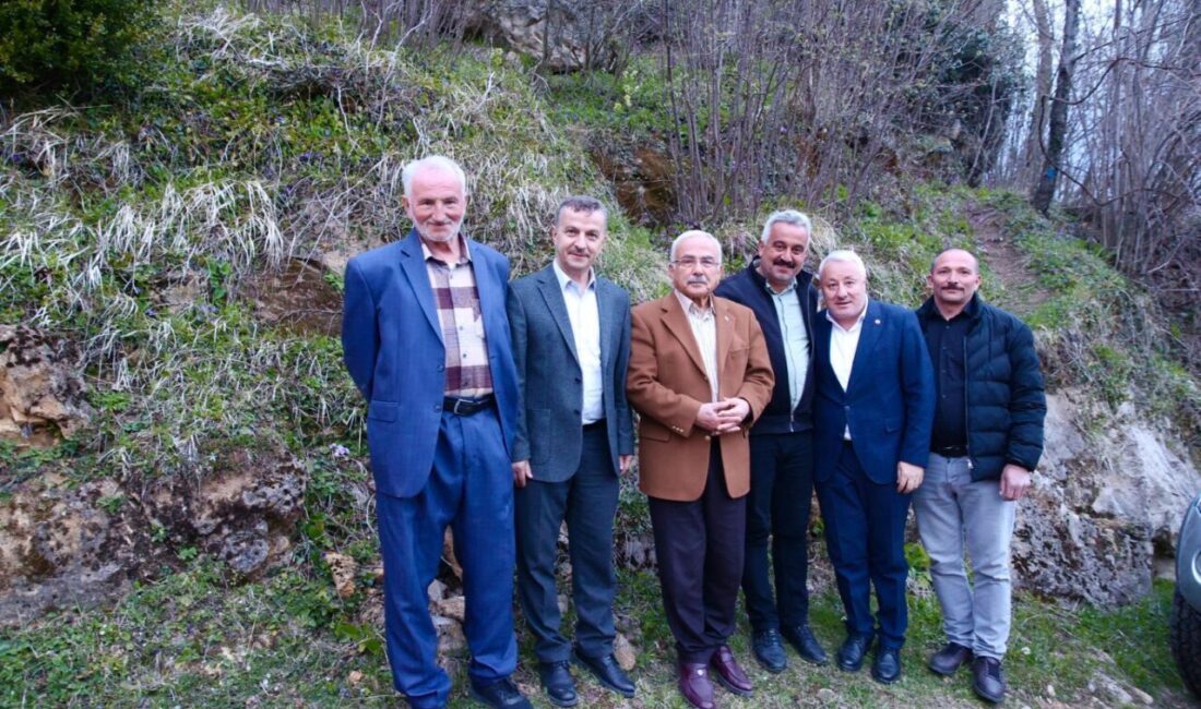 ORDU (AA) – Ordu'nun Gürgentepe ilçesindeki Tikenlice Kaya Mezarları, ziyaretçilerin