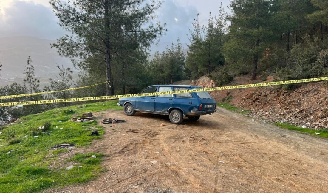 OSMANİYE (AA) – Osmaniye'nin Bahçe ilçesinde ormanlık alanda park halindeki