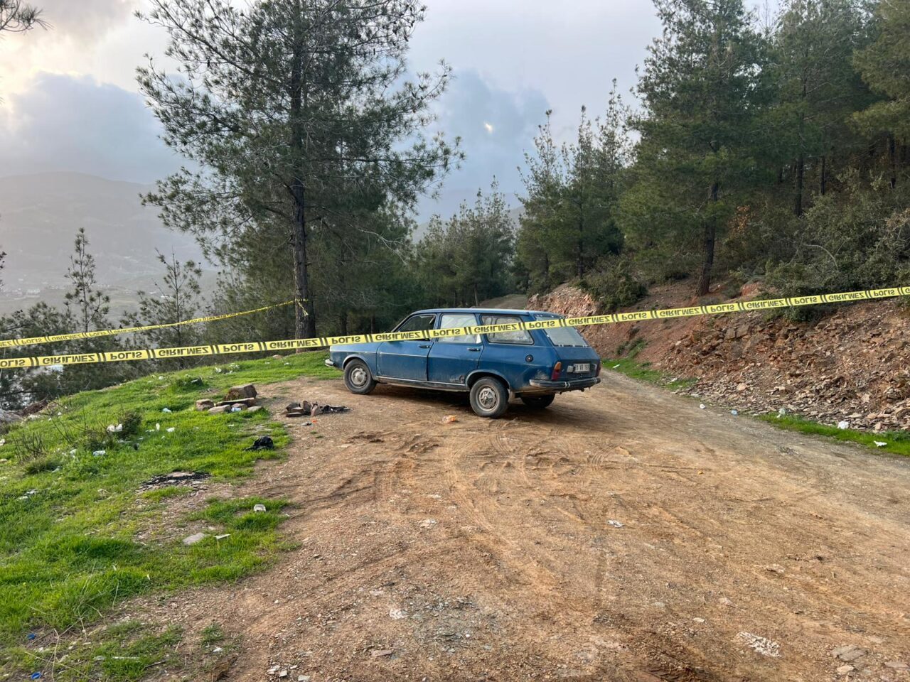 OSMANİYE (AA) – Osmaniye'nin Bahçe ilçesinde ormanlık alanda park halindeki