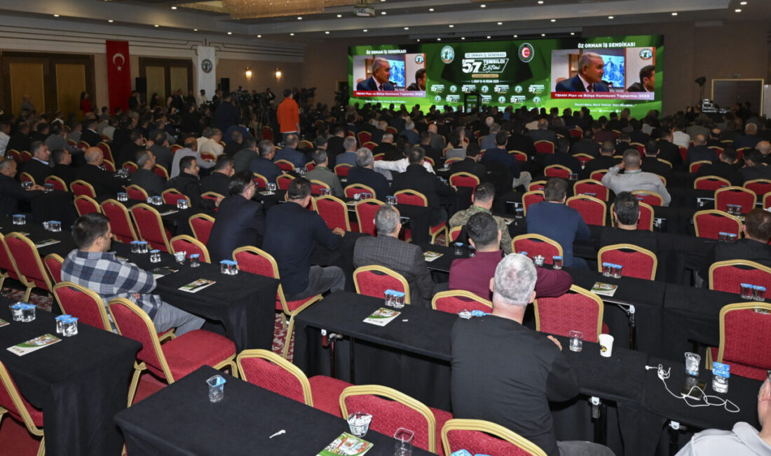 - "Yeşil vatanın korunması ikili vardiyayla yapılmalı. Şu anda 15