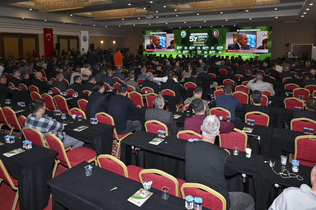 - "Yeşil vatanın korunması ikili vardiyayla yapılmalı. Şu anda 15