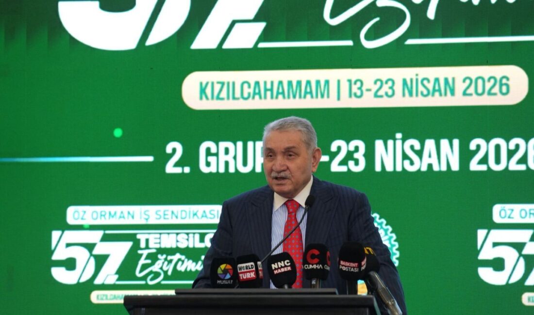 - "Orman yangınlarıyla mücadelede Orman teşkilatının teknolojik olarak hiçbir eksikliği