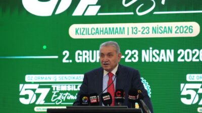 - "Orman yangınlarıyla mücadelede Orman teşkilatının teknolojik olarak hiçbir eksikliği