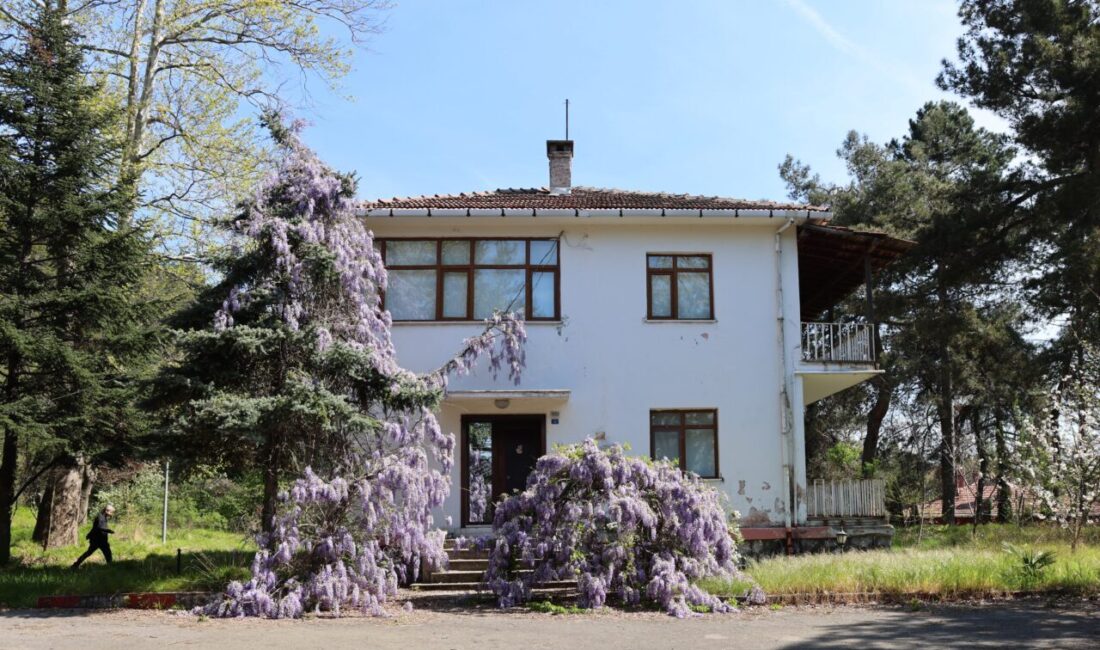 ZONGULDAK (AA) – Zonguldak Bülent Ecevit Üniversitesi (BEUN), Türk düşünce
