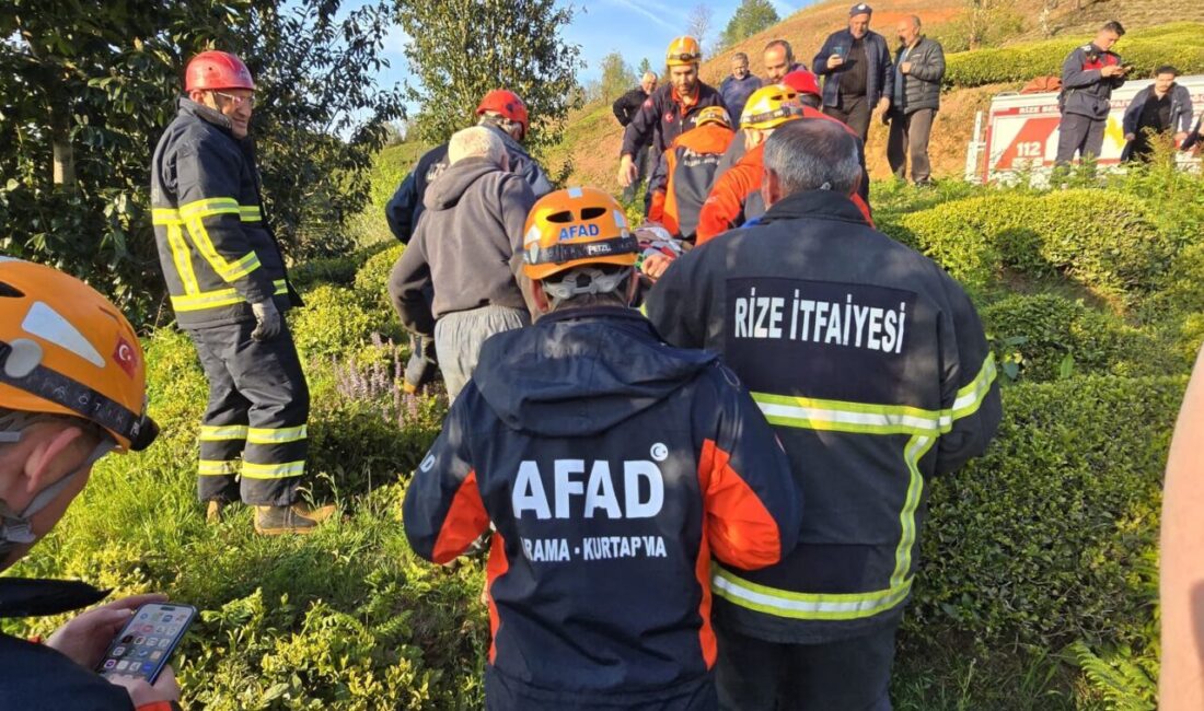 RİZE (AA) – Rize'de hafif ticari aracın çay bahçesine devrilmesi