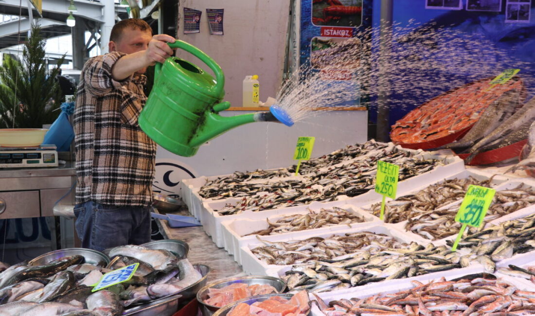 RİZE (AA) – Rize'de balıkçı tezgahlarında istavritin kilogramı 200 liradan