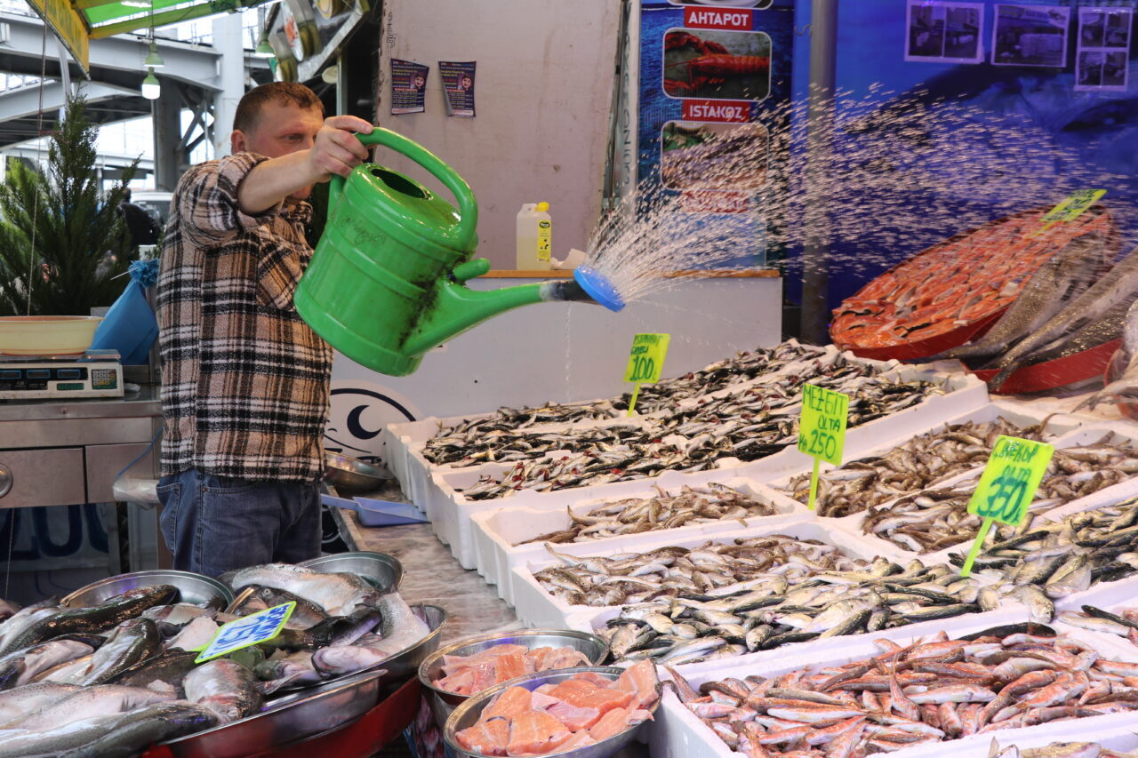 RİZE (AA) – Rize'de balıkçı tezgahlarında istavritin kilogramı 200 liradan