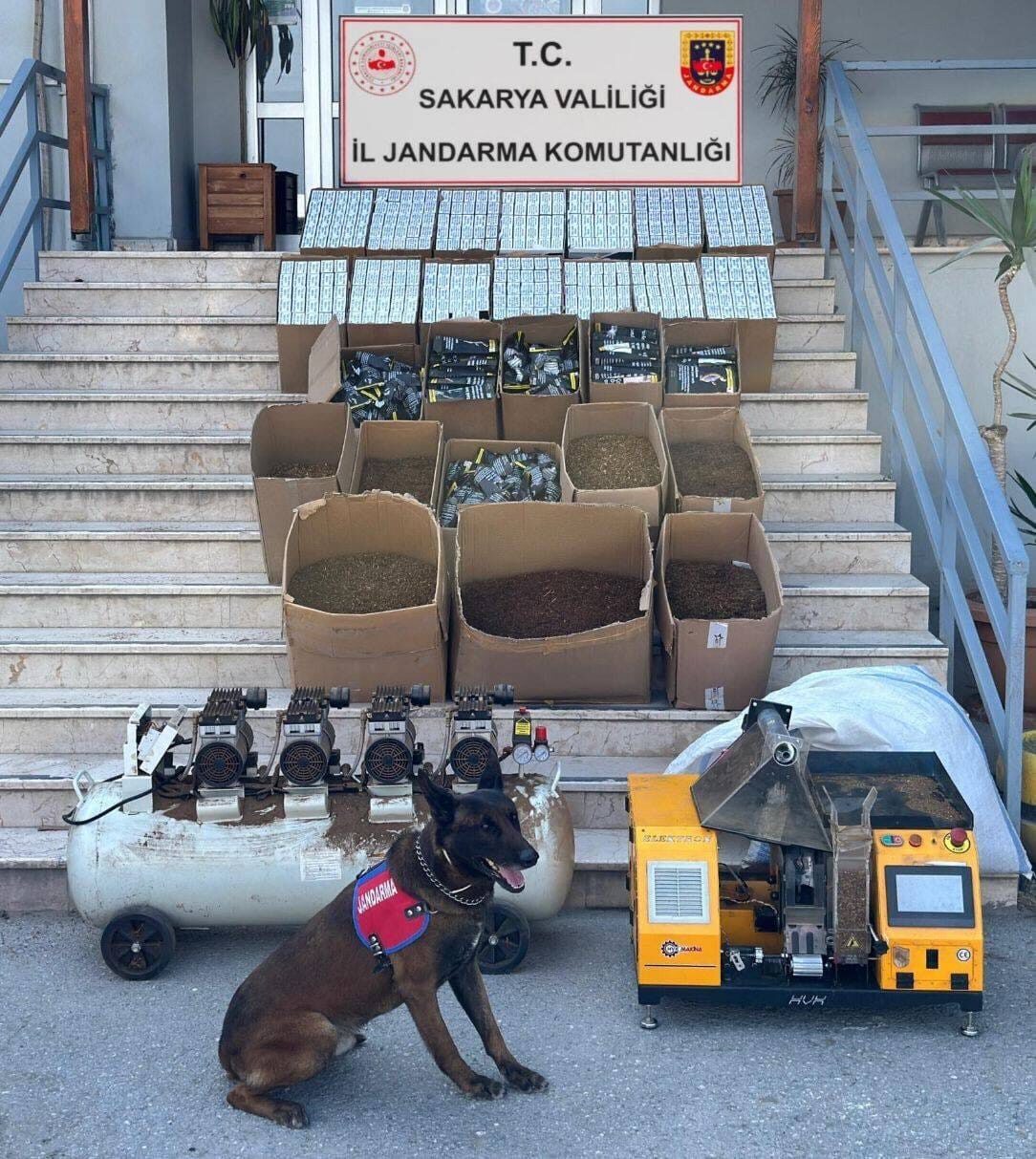 SAKARYA (AA) – Sakarya'nın Erenler, Hendek ve Pamukova ilçelerinde düzenlenen