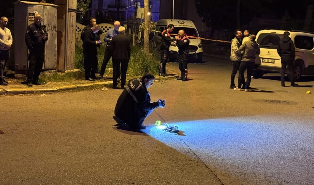 SAKARYA (AA) – Sakarya'nın Adapazarı ilçesinde çevreye silahla rastgele ateş