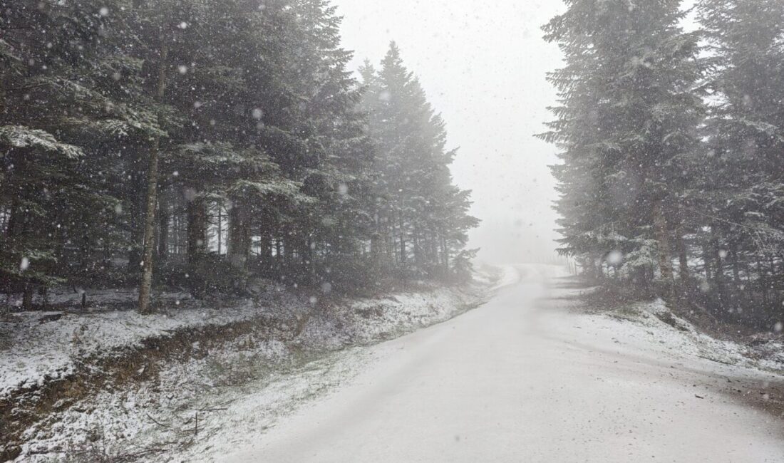 SAMSUN/AMASYA (AA) – Samsun ile Amasya'da nisan ayında kar yağışı