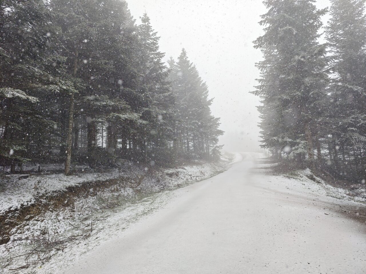 SAMSUN/AMASYA (AA) – Samsun ile Amasya'da nisan ayında kar yağışı