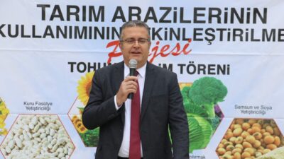 SAMSUN (AA) – Samsun'da ayçiçeği, kuru fasulye ile kanola tohumu